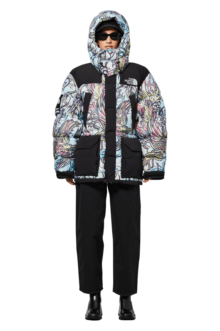 mannequin en Supreme x The North Face 700-Fill Down Parka 'Multicolor Dragon'