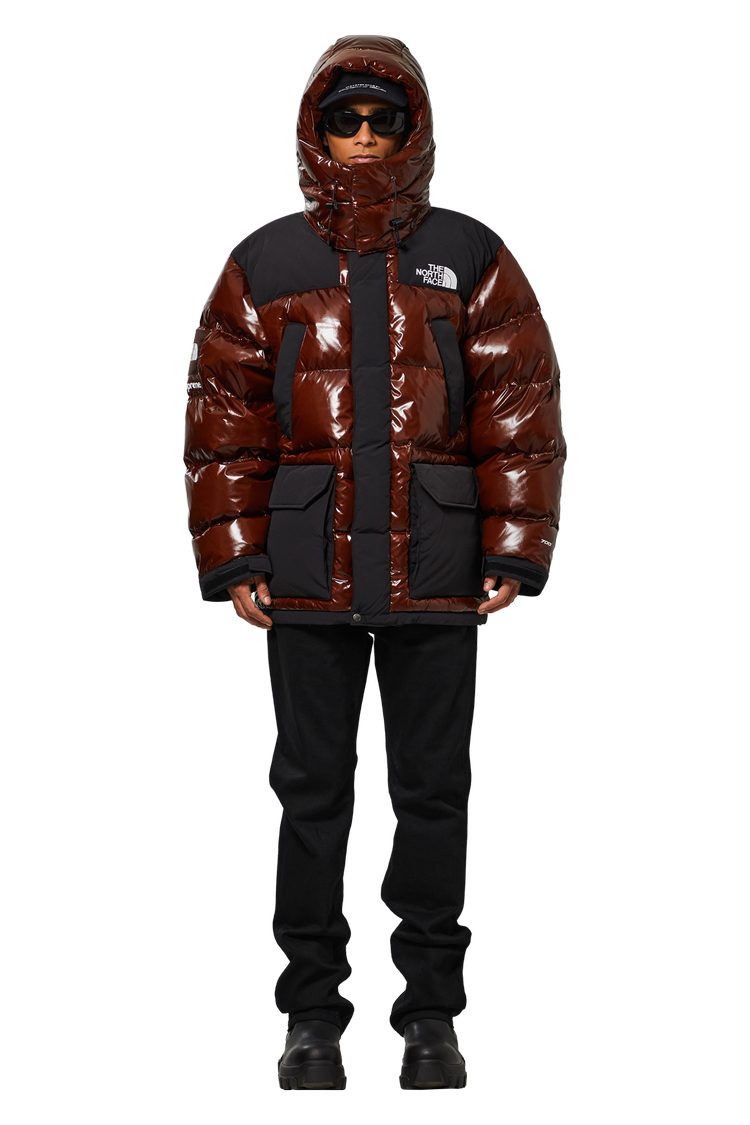 Supreme x The North Face 700-Fill Down Parka 'Brown' | GOAT